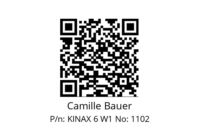   Camille Bauer KINAX 6 W1 No: 1102