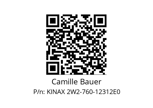   Camille Bauer KINAX 2W2-760-12312E0