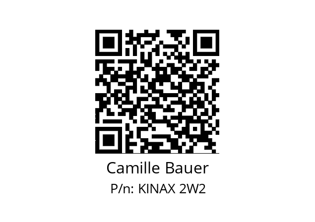   Camille Bauer KINAX 2W2