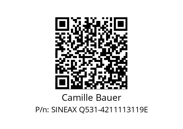   Camille Bauer SINEAX Q531-4211113119E