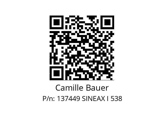   Camille Bauer 137449 SINEAX I 538