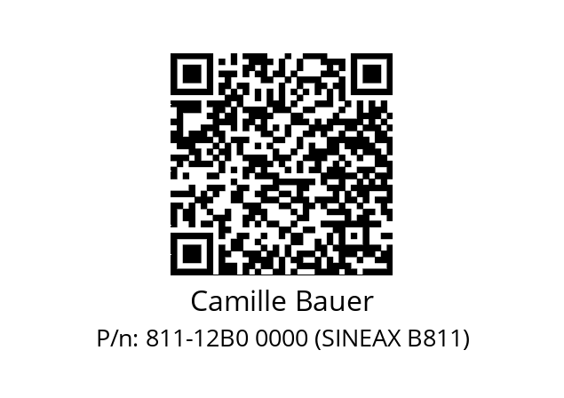   Camille Bauer 811-12B0 0000 (SINEAX B811)