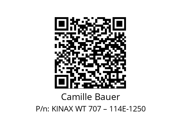   Camille Bauer KINAX WT 707 – 114E-1250