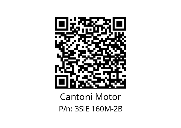  3SIE 160M-2B Cantoni Motor 3SIE 160M-2B