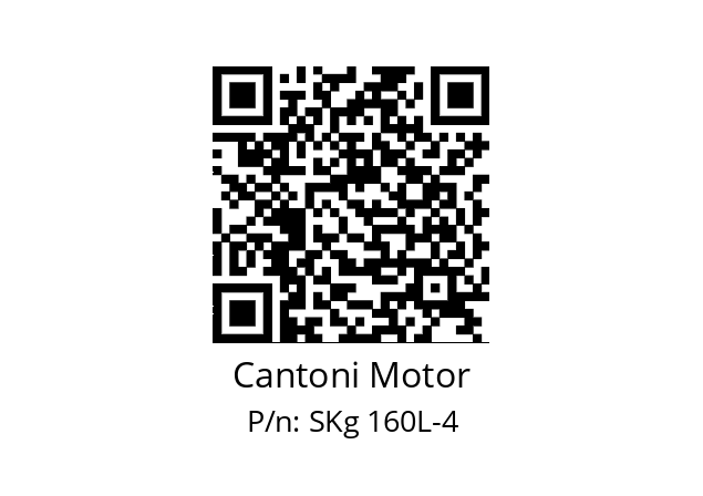   Cantoni Motor SKg 160L-4