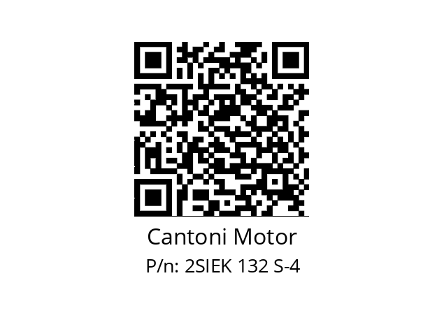   Cantoni Motor 2SIEK 132 S-4