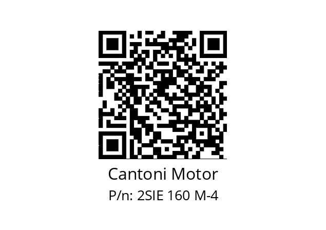   Cantoni Motor 2SIE 160 M-4