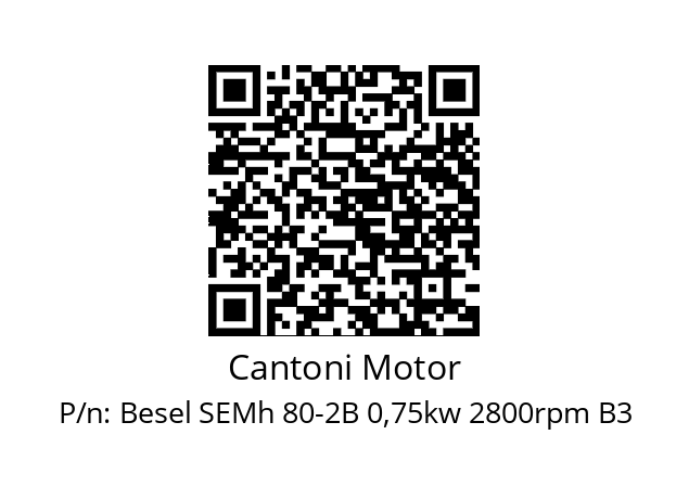   Cantoni Motor Besel SEMh 80-2B 0,75kw 2800rpm B3