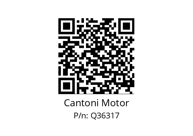   Cantoni Motor Q36317