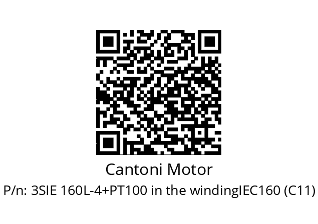   Cantoni Motor 3SIE 160L-4+PT100 in the windingIEC160 (C11)