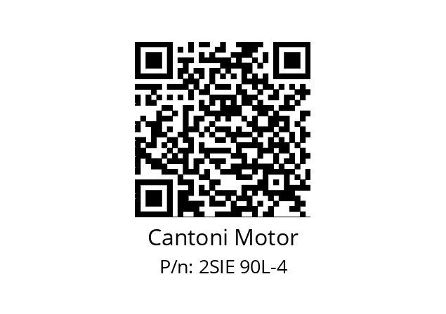   Cantoni Motor 2SIE 90L-4