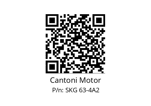   Cantoni Motor SKG 63-4A2