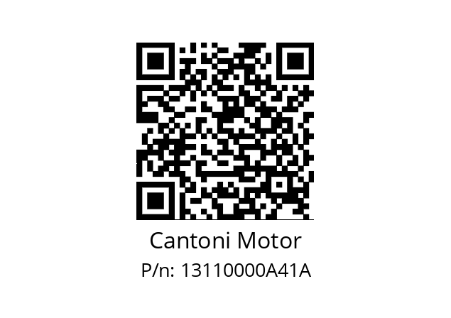   Cantoni Motor 13110000A41A