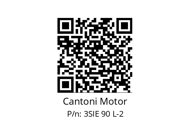   Cantoni Motor 3SIE 90 L-2