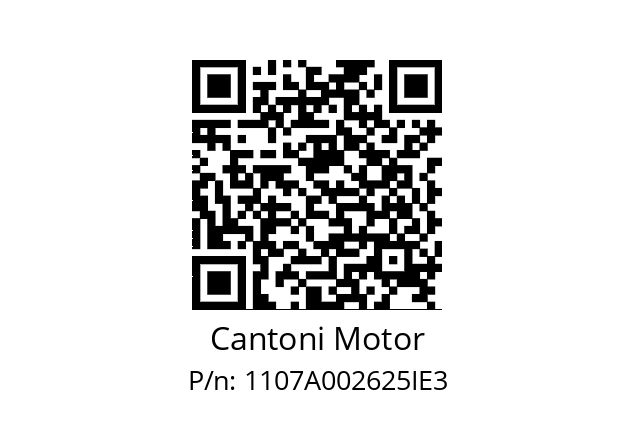   Cantoni Motor 1107A002625IE3