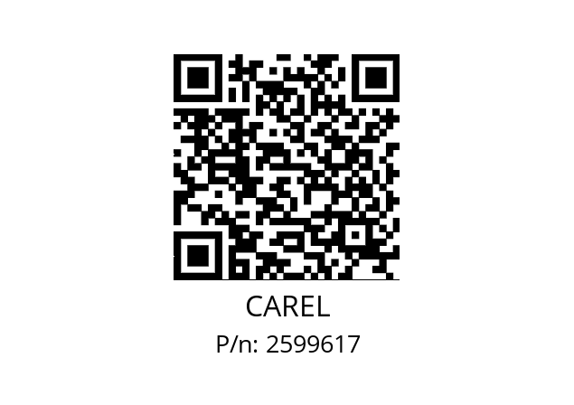   CAREL 2599617