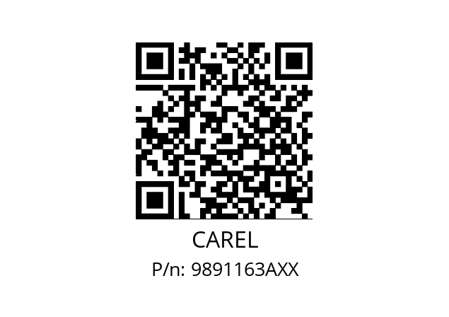   CAREL 9891163AXX