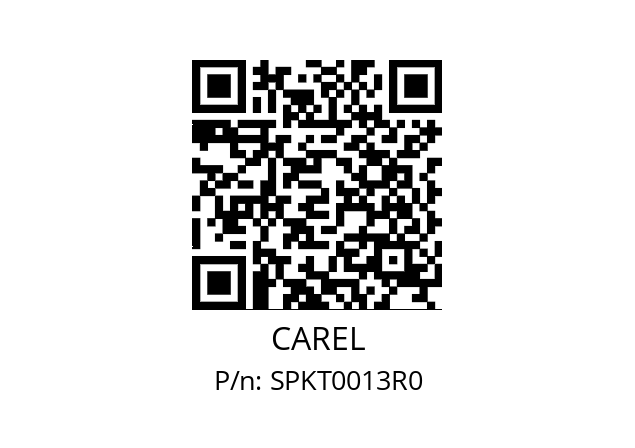   CAREL SPKT0013R0