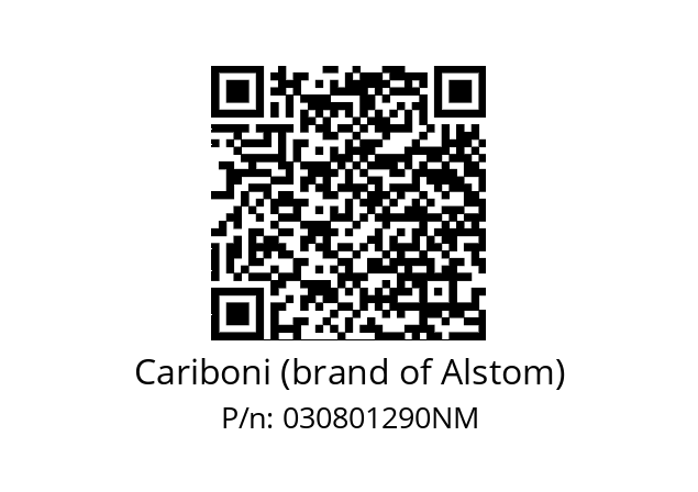   Cariboni (brand of Alstom) 030801290NM