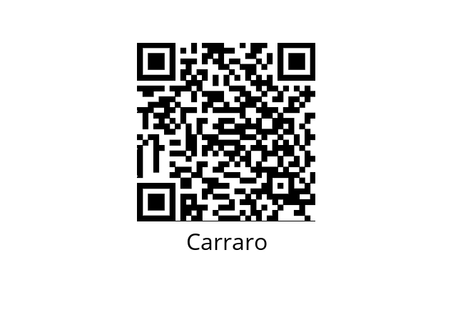  339916 Carraro 