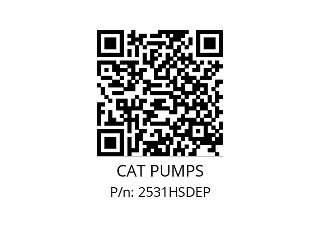   CAT PUMPS 2531HSDEP