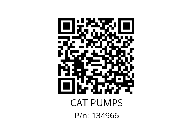   CAT PUMPS 134966