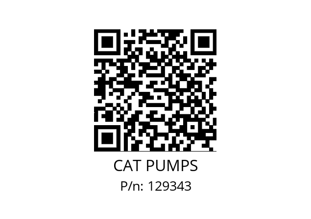   CAT PUMPS 129343