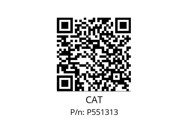   CAT P551313