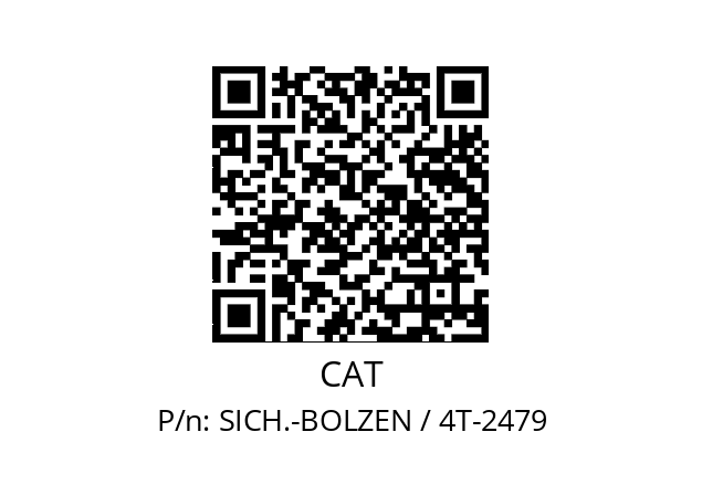   CAT SICH.-BOLZEN / 4T-2479