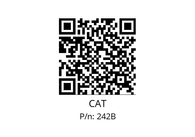   CAT 242B