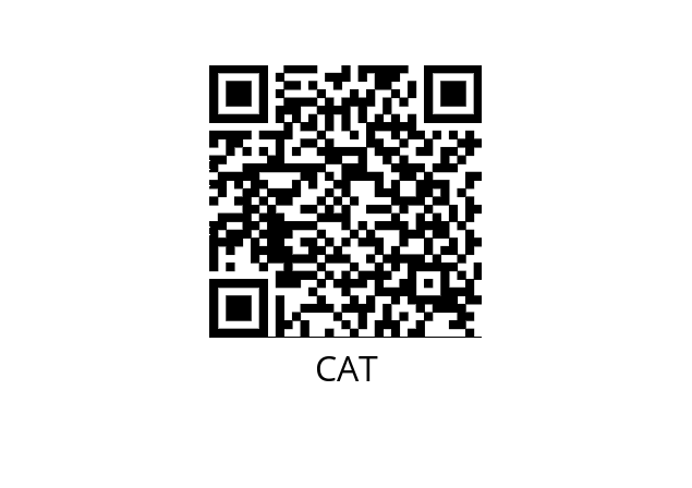  1234 3134 CAT 