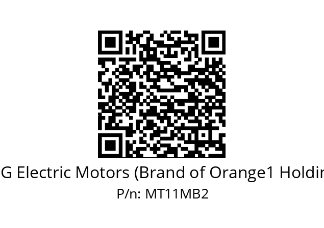   CEG Electric Motors (Brand of Orange1 Holding) MT11MB2