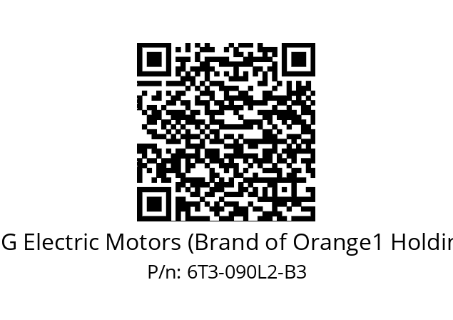   CEG Electric Motors (Brand of Orange1 Holding) 6T3-090L2-B3