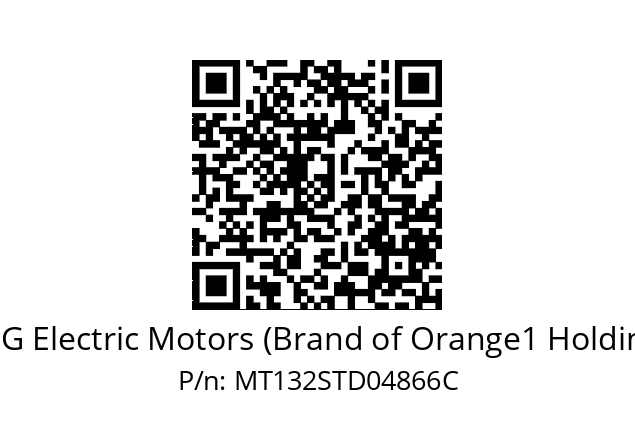   CEG Electric Motors (Brand of Orange1 Holding) MT132STD04866C