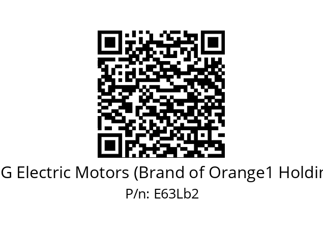   CEG Electric Motors (Brand of Orange1 Holding) E63Lb2