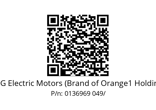   CEG Electric Motors (Brand of Orange1 Holding) 0136969 049/