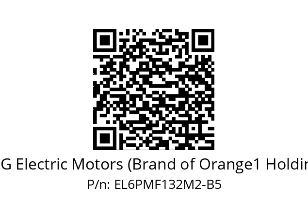   CEG Electric Motors (Brand of Orange1 Holding) EL6PMF132M2-B5