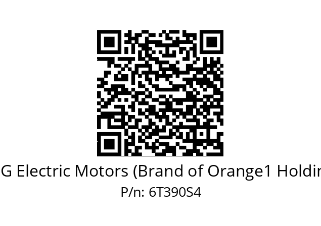   CEG Electric Motors (Brand of Orange1 Holding) 6T390S4