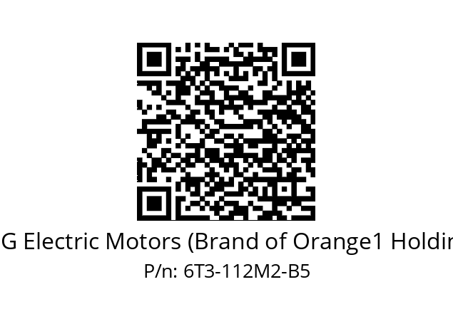   CEG Electric Motors (Brand of Orange1 Holding) 6T3-112M2-B5