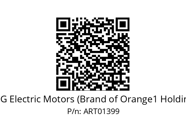   CEG Electric Motors (Brand of Orange1 Holding) ART01399