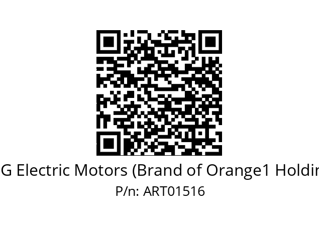   CEG Electric Motors (Brand of Orange1 Holding) ART01516