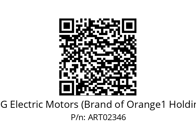   CEG Electric Motors (Brand of Orange1 Holding) ART02346