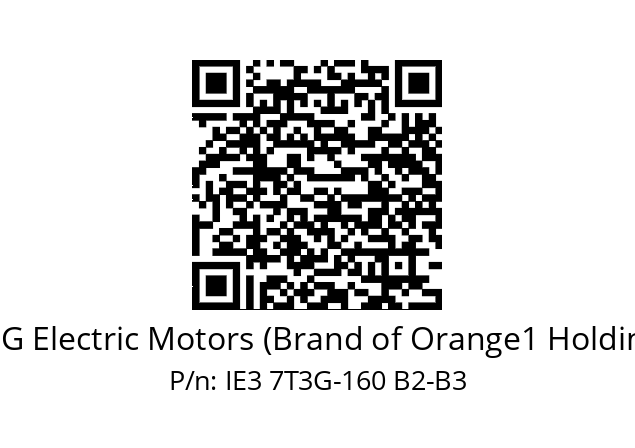   CEG Electric Motors (Brand of Orange1 Holding) IE3 7T3G-160 B2-B3