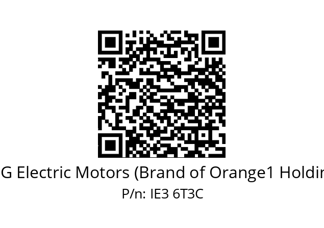   CEG Electric Motors (Brand of Orange1 Holding) IE3 6T3C