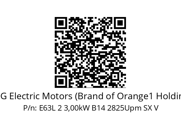   CEG Electric Motors (Brand of Orange1 Holding) E63L 2 3,00kW B14 2825Upm SX V