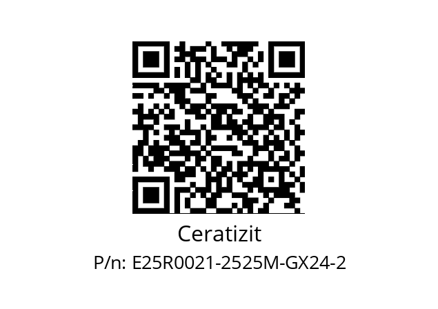   Ceratizit E25R0021-2525M-GX24-2