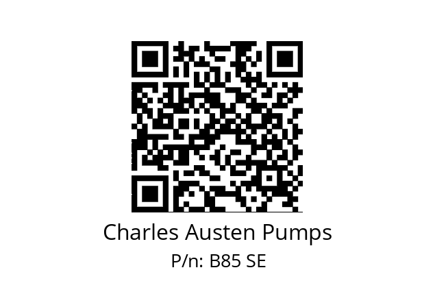   Charles Austen Pumps B85 SE