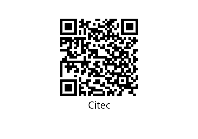  463 410 Citec 