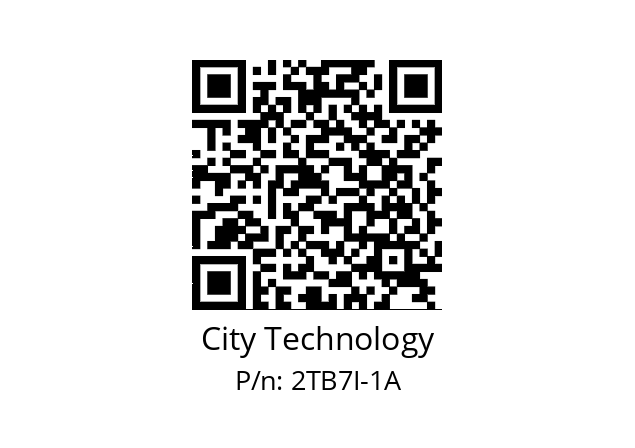   City Technology 2TB7I-1A