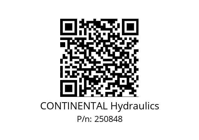   CONTINENTAL Hydraulics 250848